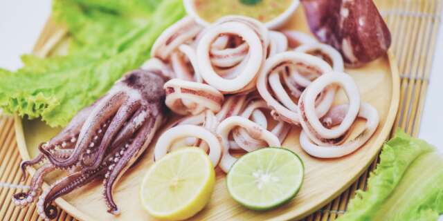 Wholesale Cephalopods (Octopus, Squid & Cuttlefish)